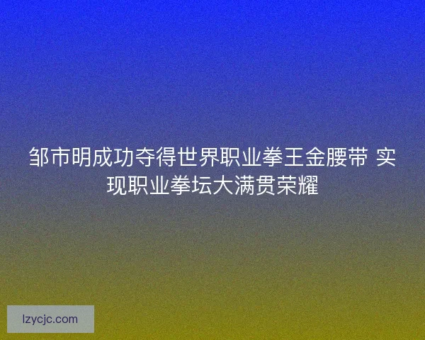 邹市明成功夺得世界职业拳王金腰带 实现职业拳坛大满贯荣耀